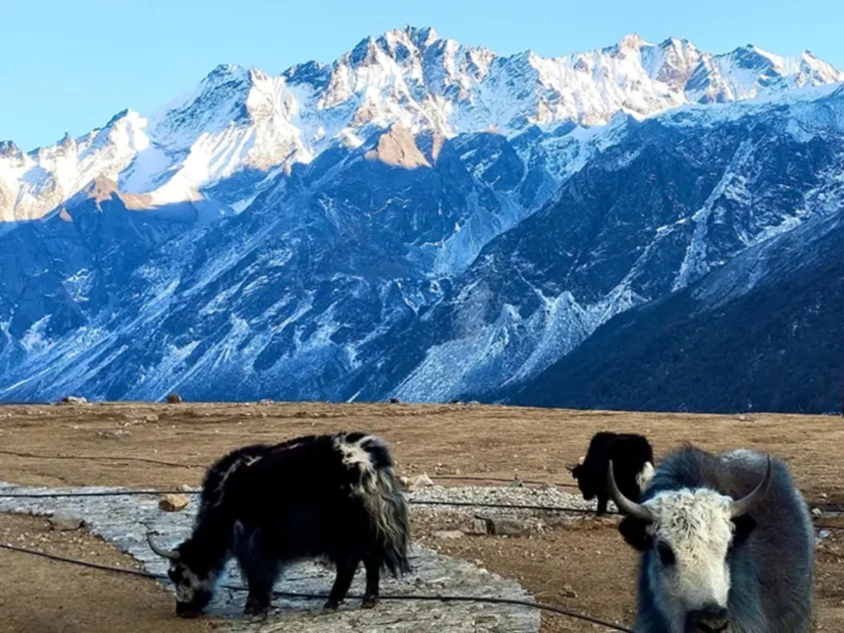 langtang valley